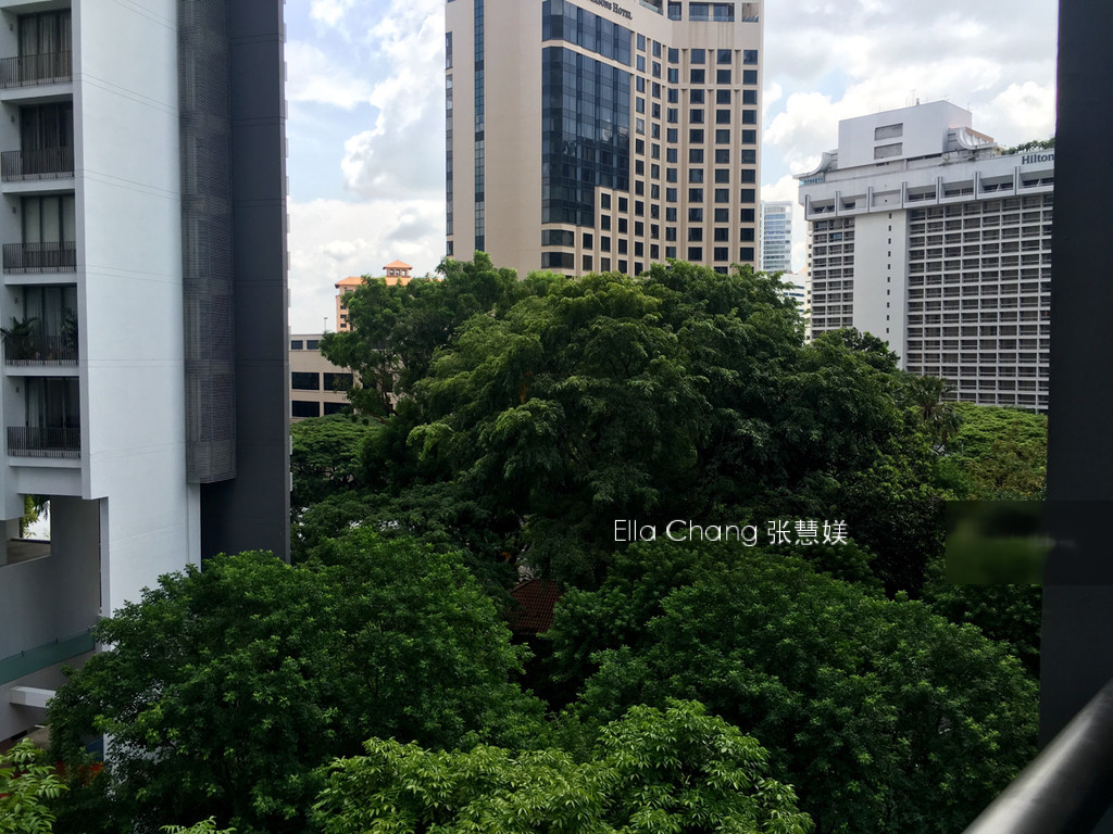 Angullia Park Residences @ Orchard (D10), Apartment #150118232